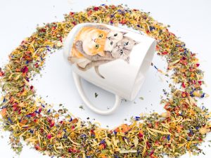 Porzellantasse Katzen