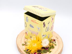 Dose mit Katzen 100g