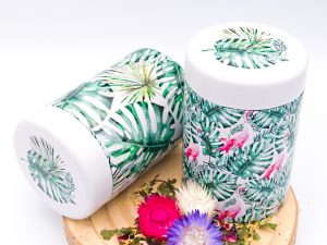 Dose Monstera 100g