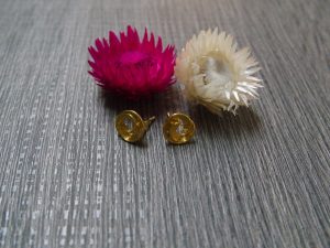 Schnecken Ohrringe vergoldet